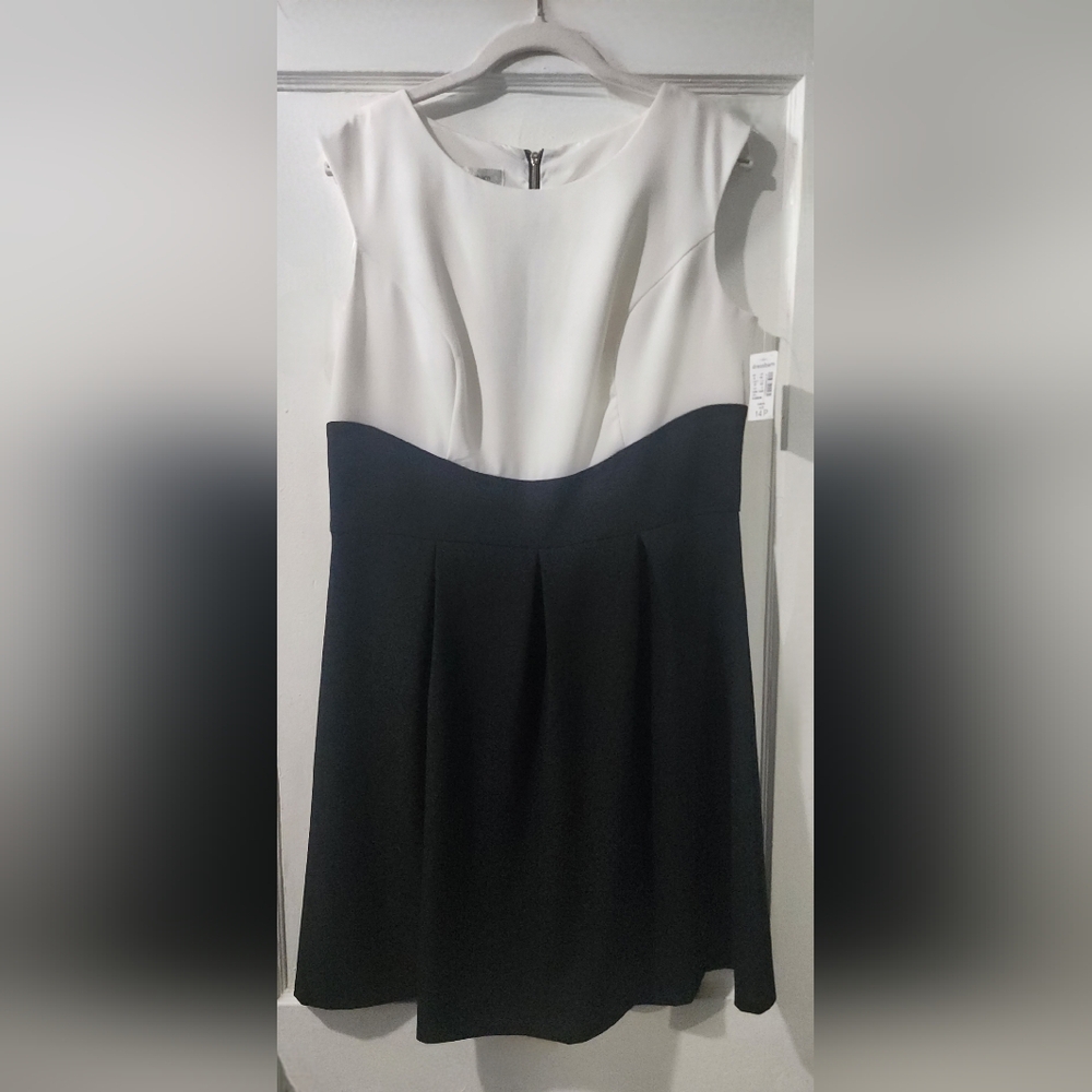 dressbarn Two-Tone Black and White Skater Dress